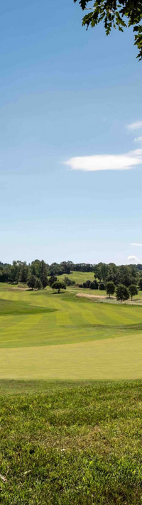 arzaganew golf (4)