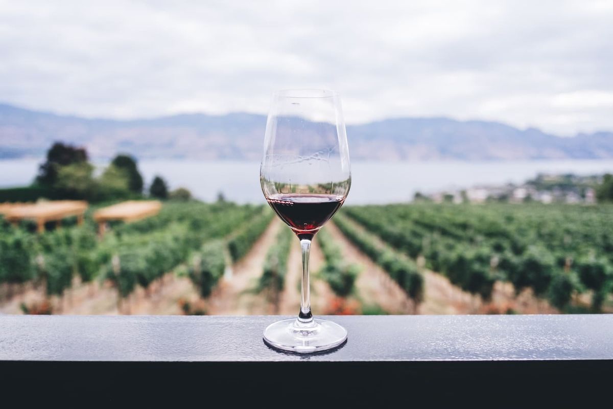 TOUR #18: A WINE AND GASTRO TOUR IN TUSCANY